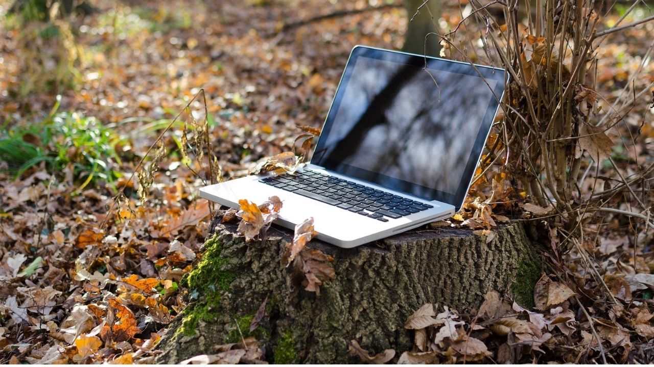 7 Ways to boost your business this Autumn